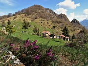 MONTE ZUCCO ad anello via linea tagliafuoco dalla Pernice (20apr21) - FOTOGALLERY